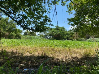Residential lot For Sale in Bushy Park, St. Catherine, Jamaica