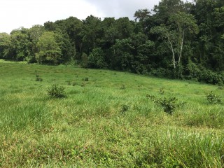 Residential lot For Sale in Chippenham Park Bamboo, St. Ann Jamaica | [3]