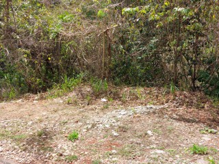 Residential lot For Sale in Belvedere, Kingston / St. Andrew, Jamaica