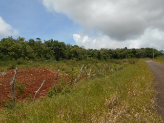 Land For Sale in Spur Tree, Manchester, Jamaica