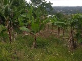 Residential lot For Sale in Ingleside, Manchester Jamaica | [2]