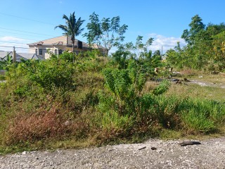 Residential lot For Sale in Bybrook, St. Elizabeth Jamaica | [6]