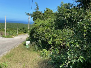 Residential lot For Sale in Duncans, Trelawny Jamaica | [6]