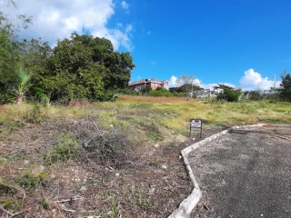 Residential lot For Sale in Whitehouse, Westmoreland Jamaica | [6]