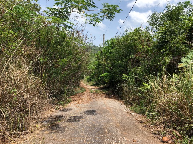 Land For Sale in SmokeyVale, Kingston / St. Andrew Jamaica | [5]