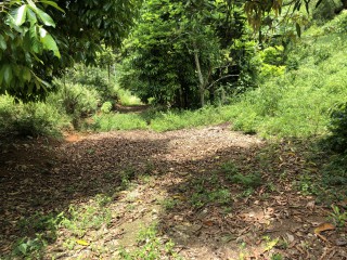 Commercial/farm land For Sale in Dover Castle Redwood St Catherine, St. Catherine, Jamaica