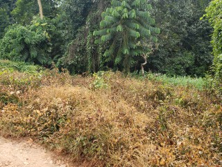 Residential lot For Sale in Time and Patience, St. Catherine Jamaica | [6]