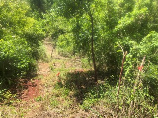 Residential lot For Sale in Bannister Old Harbour, St. Catherine, Jamaica