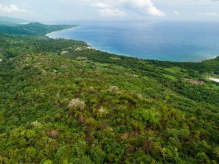  For Sale in Spring Mount, Portland Jamaica | [6]