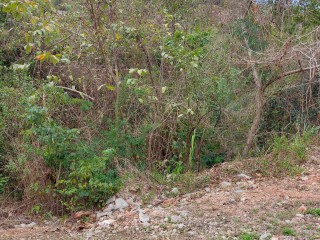 Residential lot For Sale in Belvedere, Kingston / St. Andrew, Jamaica
