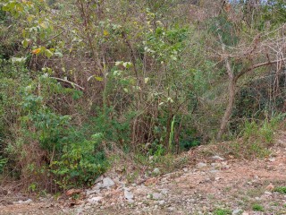 Residential lot For Sale in Belvedere, Kingston / St. Andrew, Jamaica