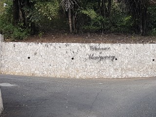 Residential lot For Sale in Montgomery Stony Hill, Kingston / St. Andrew Jamaica | [3]