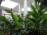 Apartment For Sale in Clieveden Golden Triangle, Kingston / St. Andrew Jamaica | [3]
