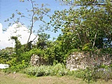 Residential lot For Sale in Lucea, Hanover Jamaica | [1]
