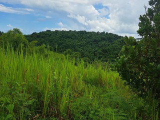 2 bed Commercial/farm land For Sale – Wilmington, St. Thomas, Jamaica