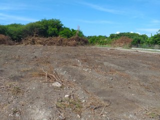Residential lot For Sale in Albion Estate, St. Thomas Jamaica | [2]