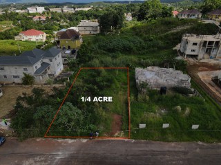 Land For Sale in Mandeville, Manchester, Jamaica