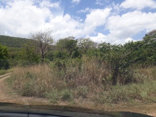 Residential lot For Sale in GREENSIDE, Trelawny Jamaica | [4]