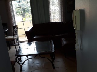 Apartment For Rent in Kingston 6, Kingston / St. Andrew Jamaica | [8]