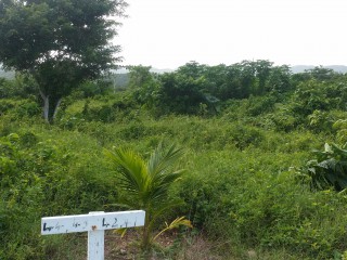 Residential lot For Sale in Fairy Hill, Portland Jamaica | [6]
