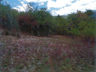 Residential lot For Sale in Luana Pen, St. Elizabeth, Jamaica