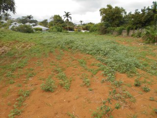 Land For Sale in Mandeville, Manchester, Jamaica
