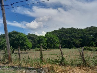 Residential lot For Sale in The Vineyards, St. Catherine, Jamaica