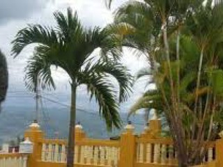 House For Sale in Ingleside  Mandeville, Manchester Jamaica | [8]