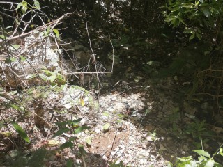 Commercial land For Sale in Spur Tree, Manchester Jamaica | [4]