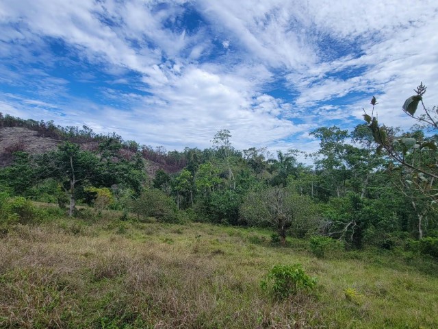 3 bed Development Land (Residential) For Sale - Mammee Ridge, St. Ann, Jamaica