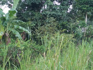 Residential lot For Sale in Padmore Red Hills, Kingston / St. Andrew, Jamaica