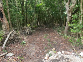 Land For Sale in Montego Bay, St. James Jamaica | [6]