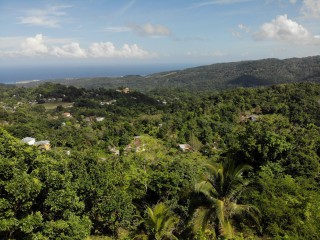 Land For Sale in Lime Hall, St. Ann Jamaica | [1]