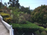 House For Rent in Whitehouse, Westmoreland Jamaica | [7]
