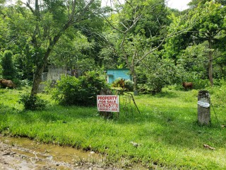 Land For Sale in Frankfield, Clarendon, Jamaica