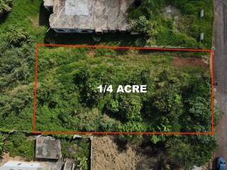 Land For Sale in Mandeville, Manchester, Jamaica