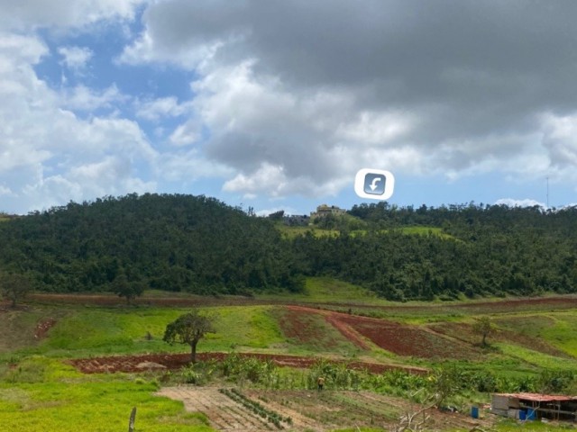 Land For Sale - Bellevue district, St. Elizabeth, Jamaica