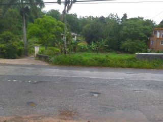 Residential lot For Sale in Knockpatrick Gardens, Manchester Jamaica | [5]