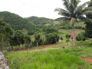 Residential lot For Sale in Lumsden, St. Ann Jamaica | [1]