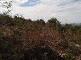 Residential lot For Sale in Sligoville, St. Catherine Jamaica | [4]