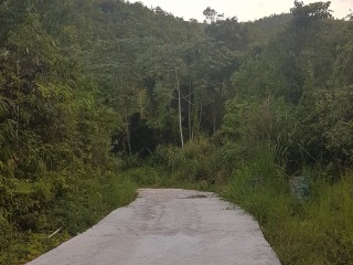 Residential lot For Sale in Red Hills, Kingston / St. Andrew Jamaica | [1]