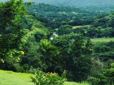  For Sale in Morgans Valley, Clarendon Jamaica | [5]
