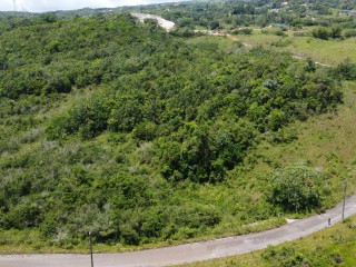 Land For Sale in New Wales, Manchester, Jamaica