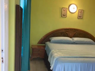 Apartment For Rent in Upper Waterloo Road, Kingston / St. Andrew Jamaica | [3]