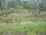 Residential lot For Sale in Mandeville, Manchester Jamaica | [4]