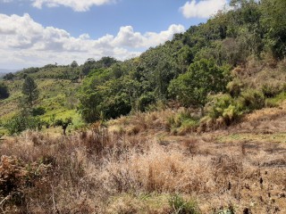 Land For Sale in James Hill, Clarendon Jamaica | [2]