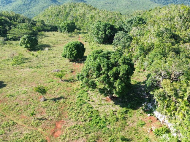 Land For Sale in Dover, St. Catherine Jamaica | [9]