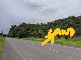 Land For Sale in Hayfield, Portland Jamaica | [1]