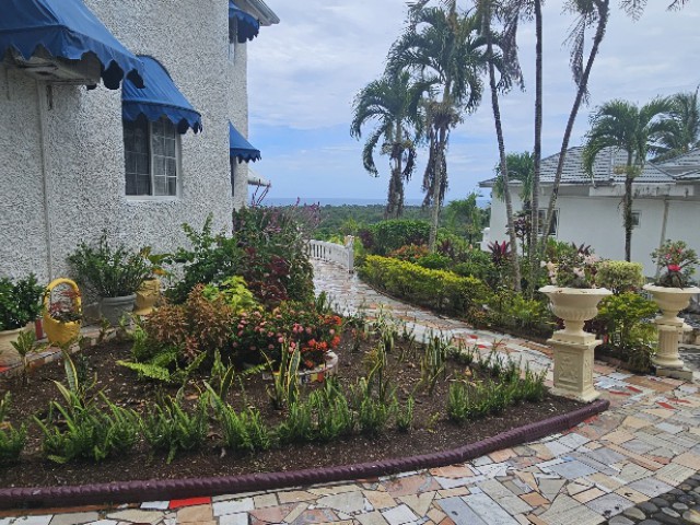 House For Sale in St Margarets Bay, Portland Jamaica | [10]