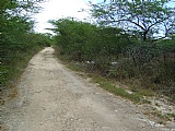 Commercial/farm land For Sale in Hartland, St. Catherine Jamaica | [4]